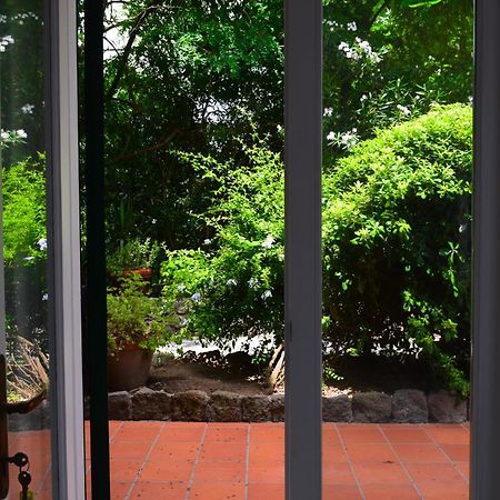 Il Giardino Selvatico Di Succellario - Apartments Barano dʼIschia Εξωτερικό φωτογραφία