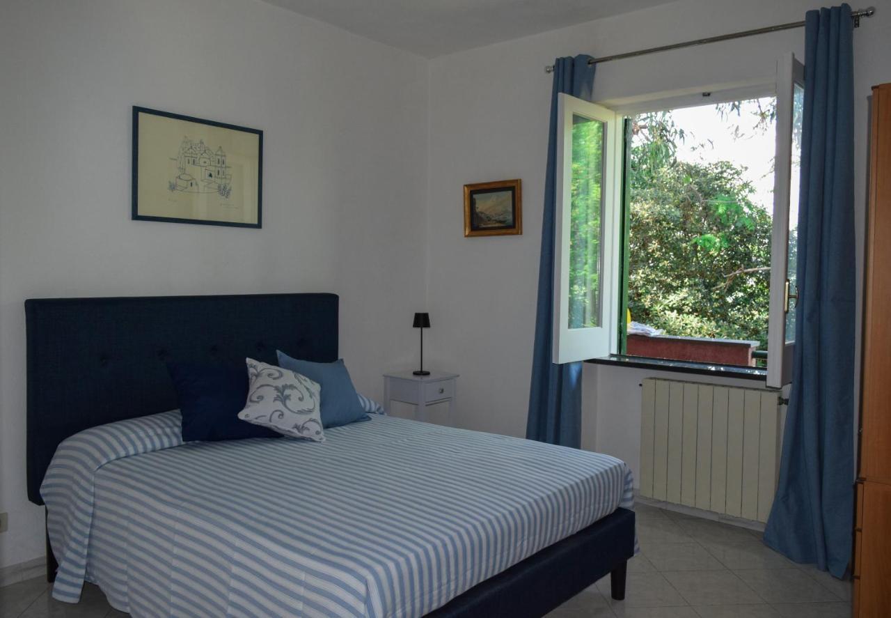 Il Giardino Selvatico Di Succellario - Apartments Barano dʼIschia Εξωτερικό φωτογραφία