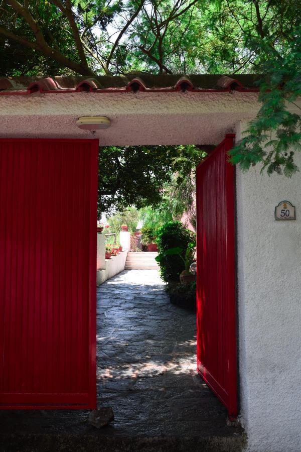 Il Giardino Selvatico Di Succellario - Apartments Barano dʼIschia Εξωτερικό φωτογραφία