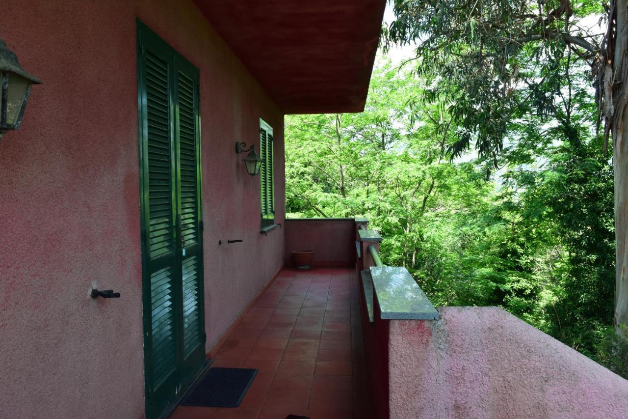 Il Giardino Selvatico Di Succellario - Apartments Barano dʼIschia Εξωτερικό φωτογραφία