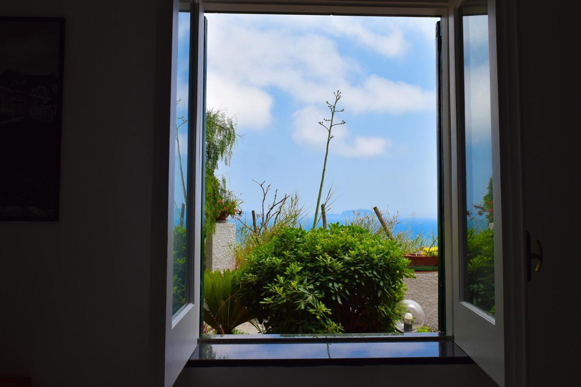 Il Giardino Selvatico Di Succellario - Apartments Barano dʼIschia Εξωτερικό φωτογραφία